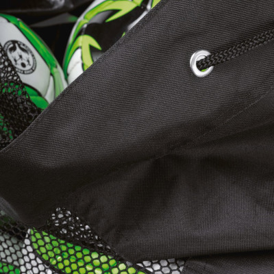 Ball carry bag